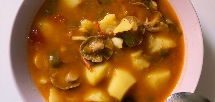 Buckwheat soup with wild mushrooms: a simple and refined recipe, perfect after the holidays