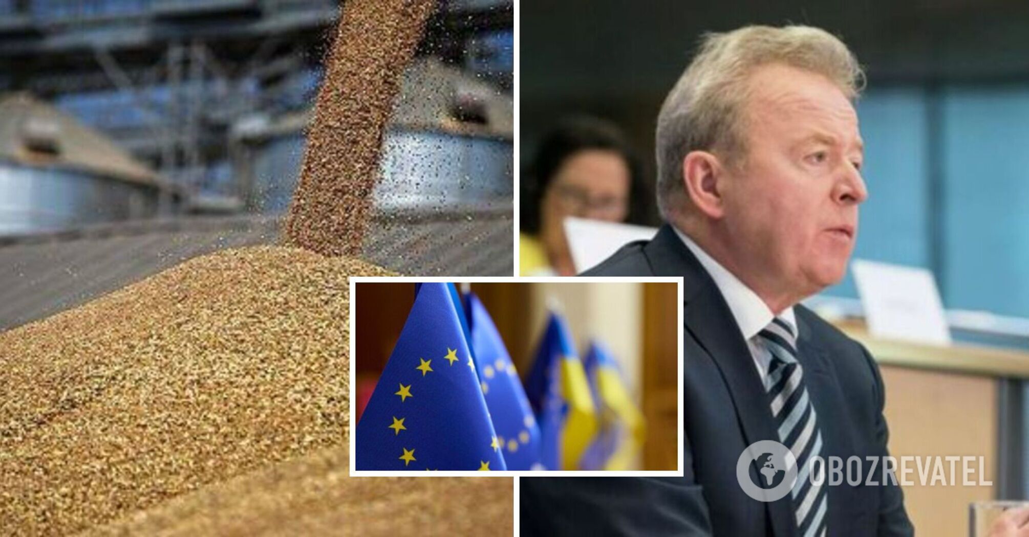 Polish Commissioner wants to return the ban on imports of Ukrainian grain to the EU