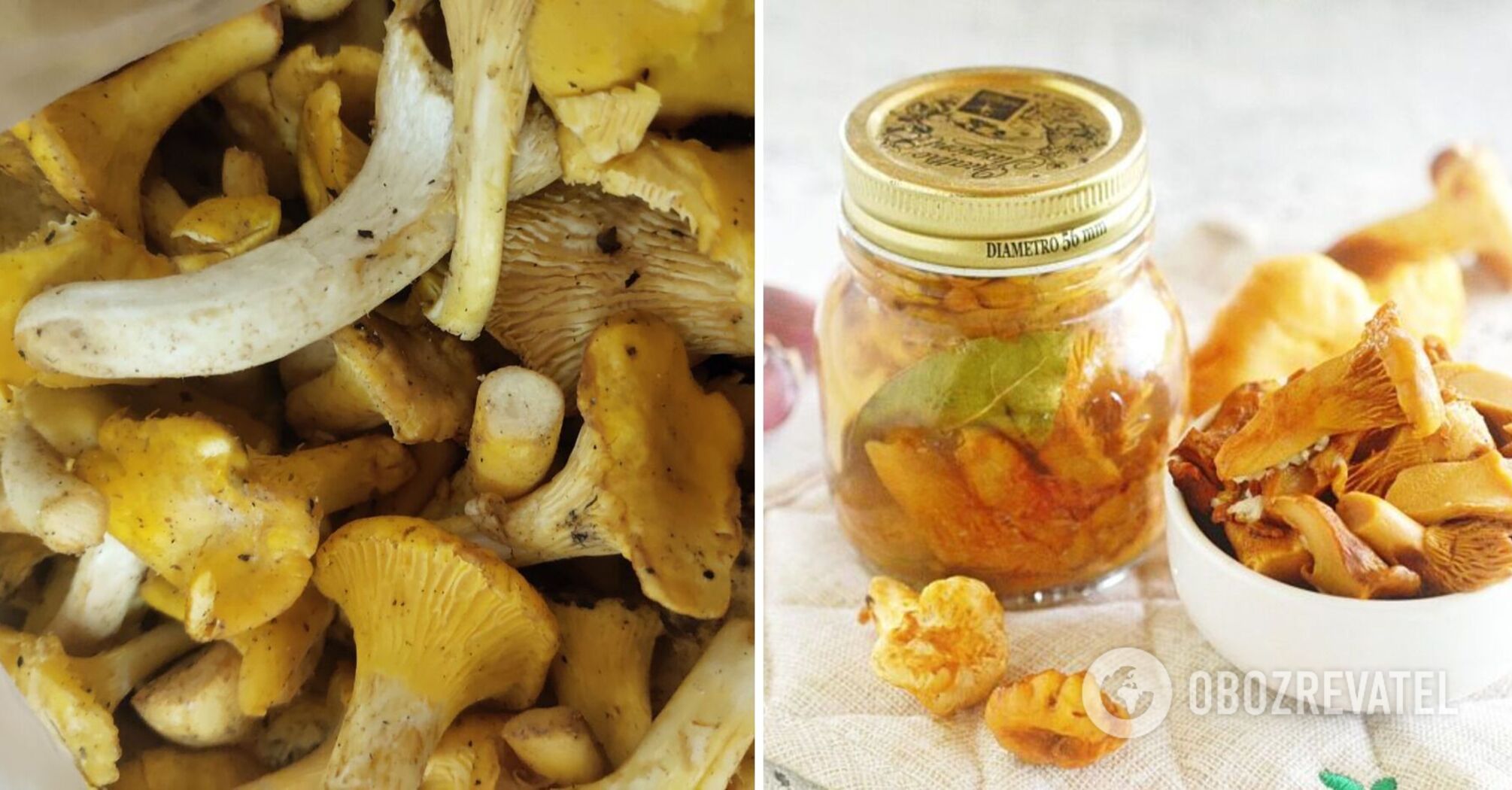 How to pickle wild mushrooms deliciously