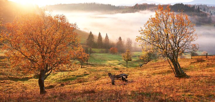 What holiday is celebrated on October 10: memorable events