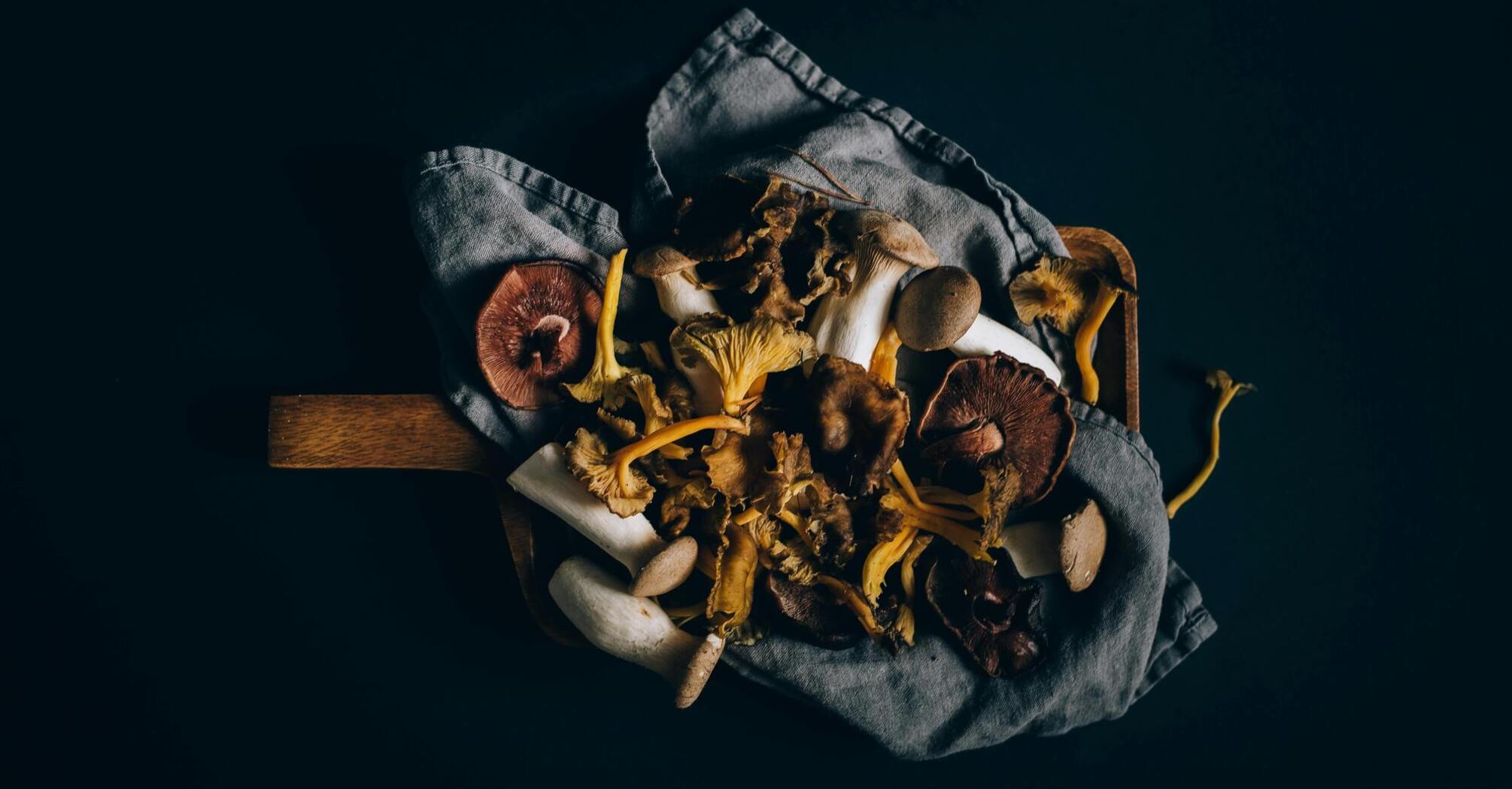 How to dry mushrooms so that they are stored for a long time