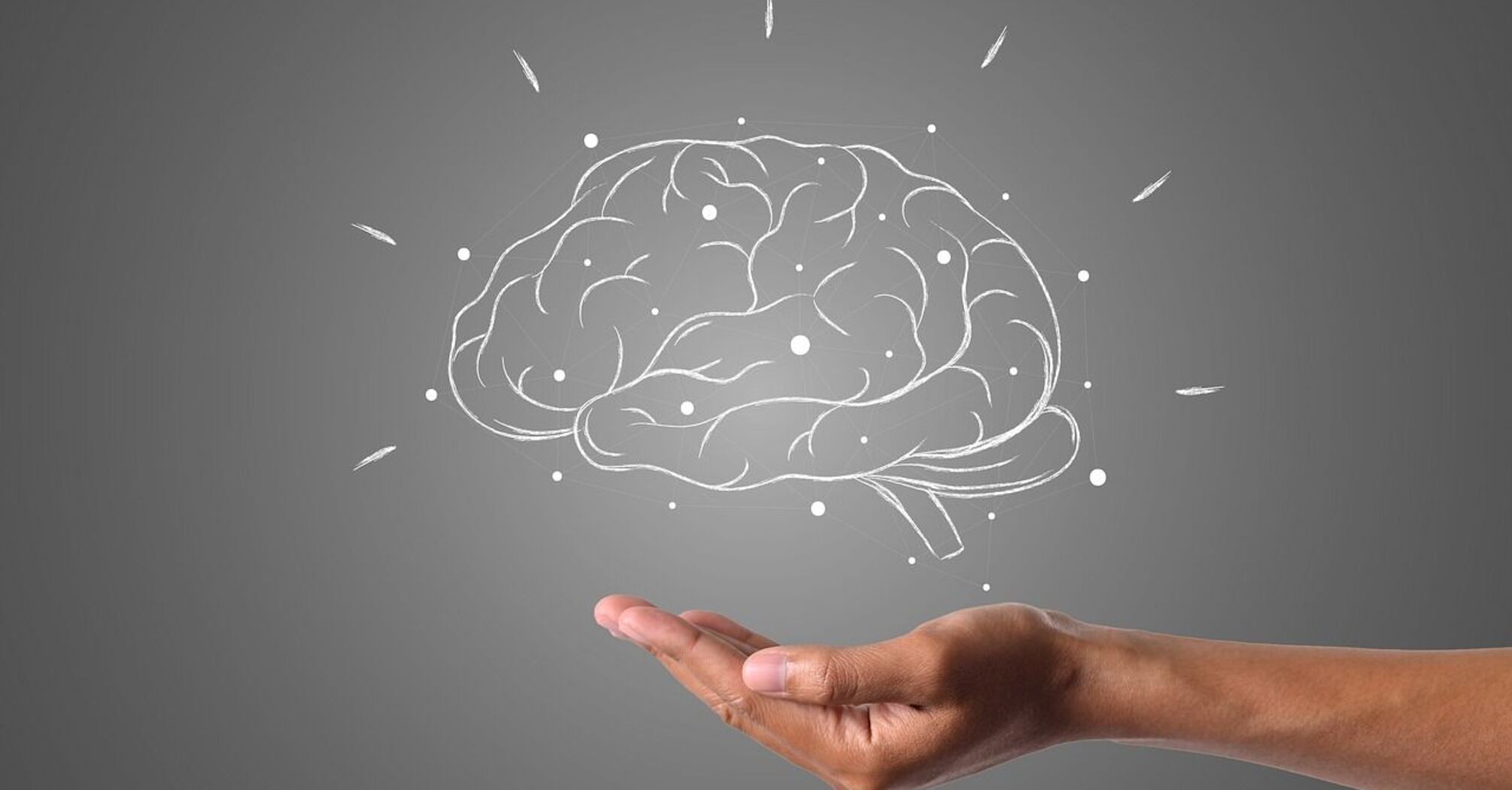 "Горючее" из продуктов для нашего мозга: как защитить орган от протухания