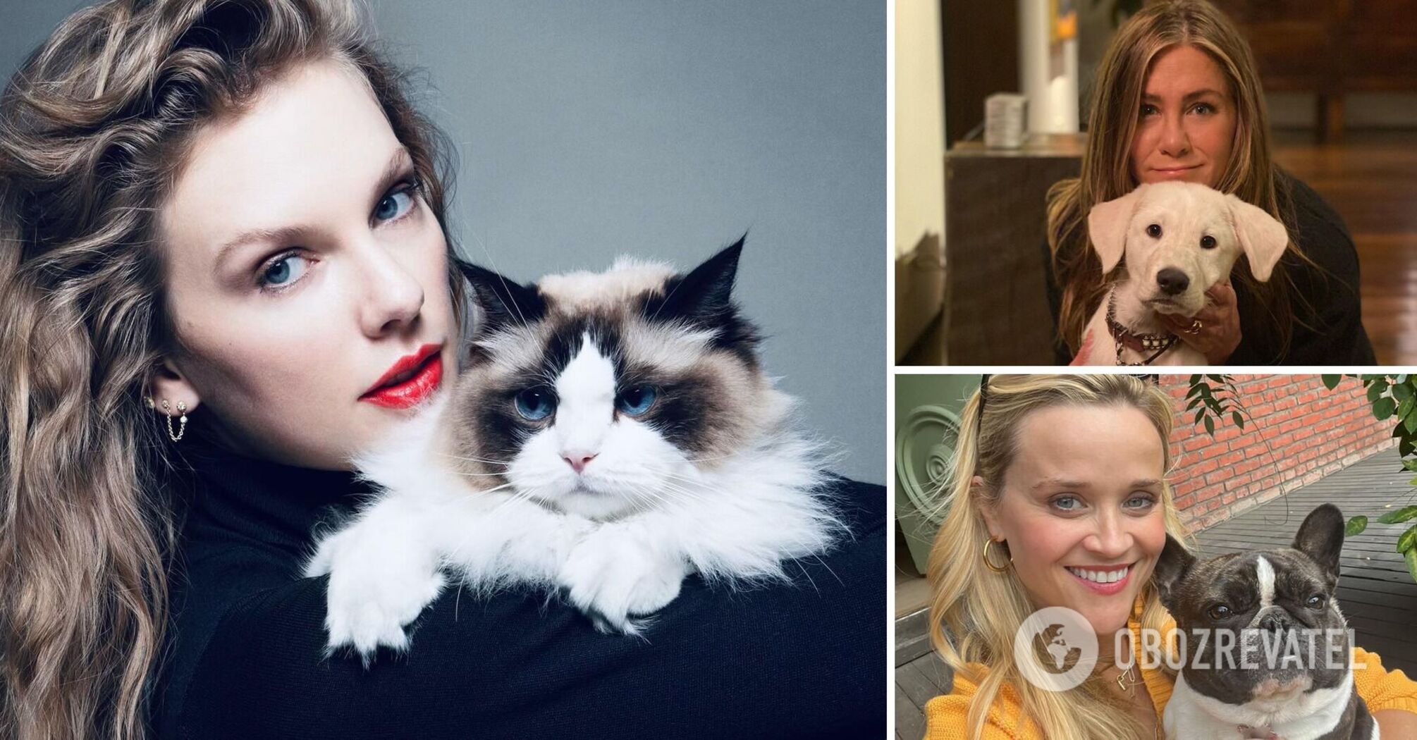 Like the owners: photos of stars and their four-legged pets that will make you smile