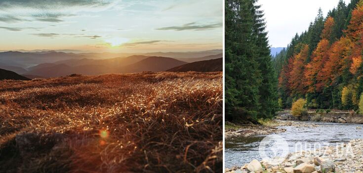 Cozy autumn retreat in the Carpathians: where to stay