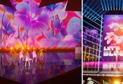 "Stupid plagiarism": German Nenov accused Junior Eurovision of using his idea for the concept of the 2024 show. Photo comparison