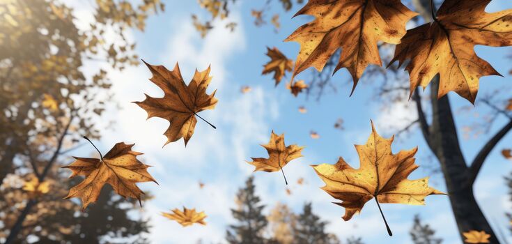 What holidays are celebrated on October 22: interesting facts