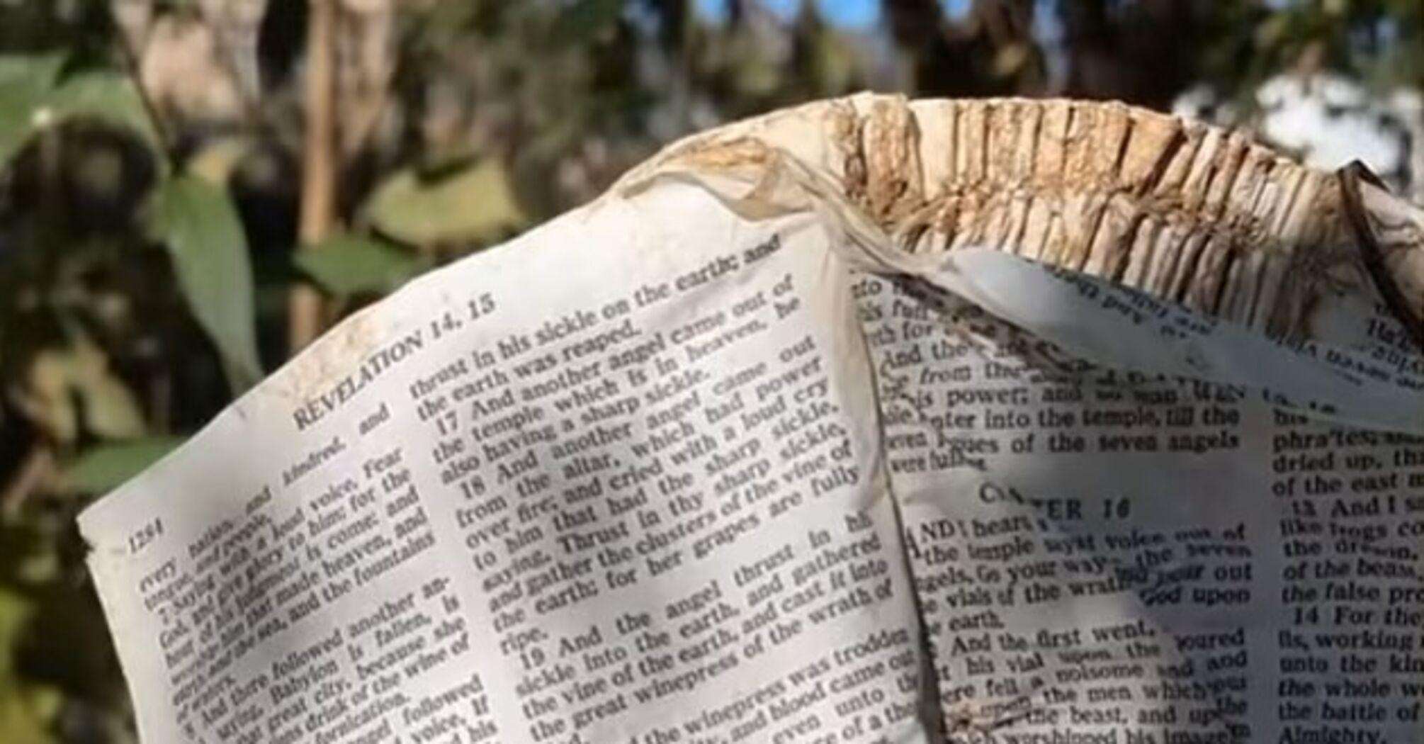 'The earth will be destroyed.' A biblical sign was found in the yard of a house destroyed by a hurricane in the United States