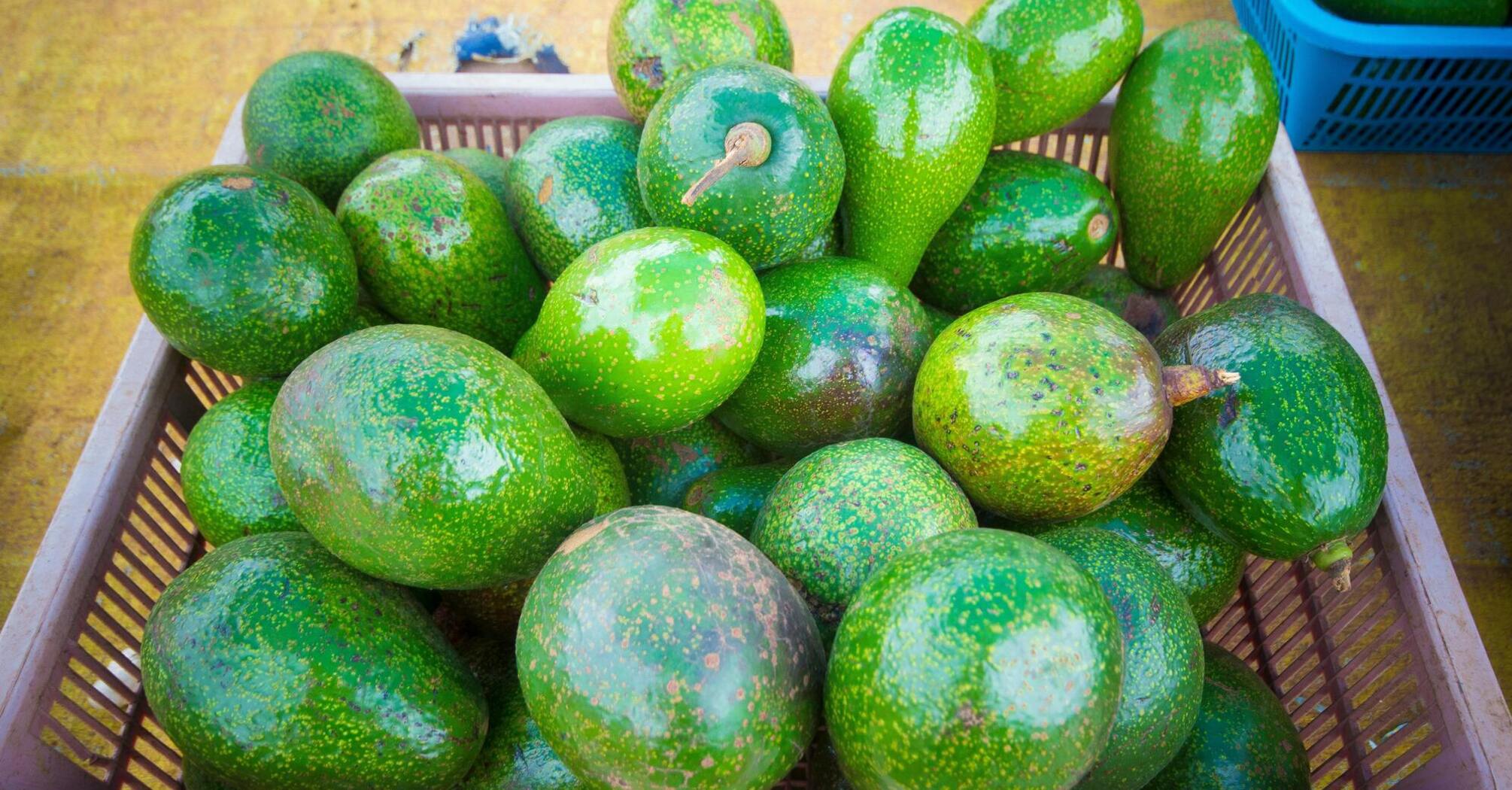 How to "ripen" an avocado in 2 minutes: a trick that will work even on very hard fruits