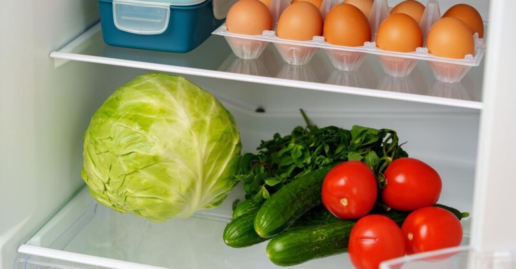 Why food spoils in the fridge: avoid these storage mistakes