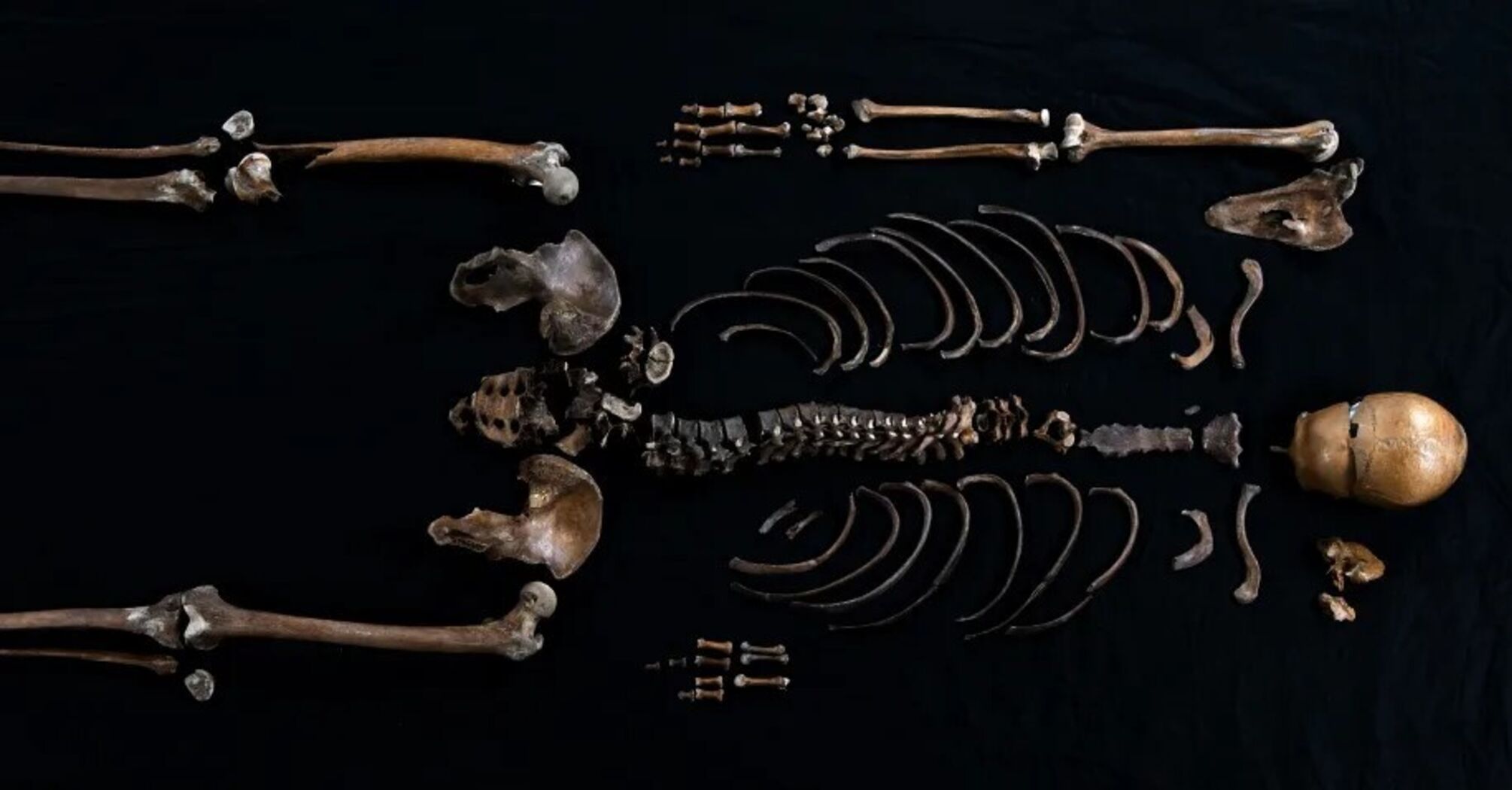 Skeletal remains of an 800-year-old warrior found in Norway: what is known about the 'well man'. Photo