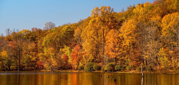 What is the holiday on October 30 in Ukraine and the world: everything about this day