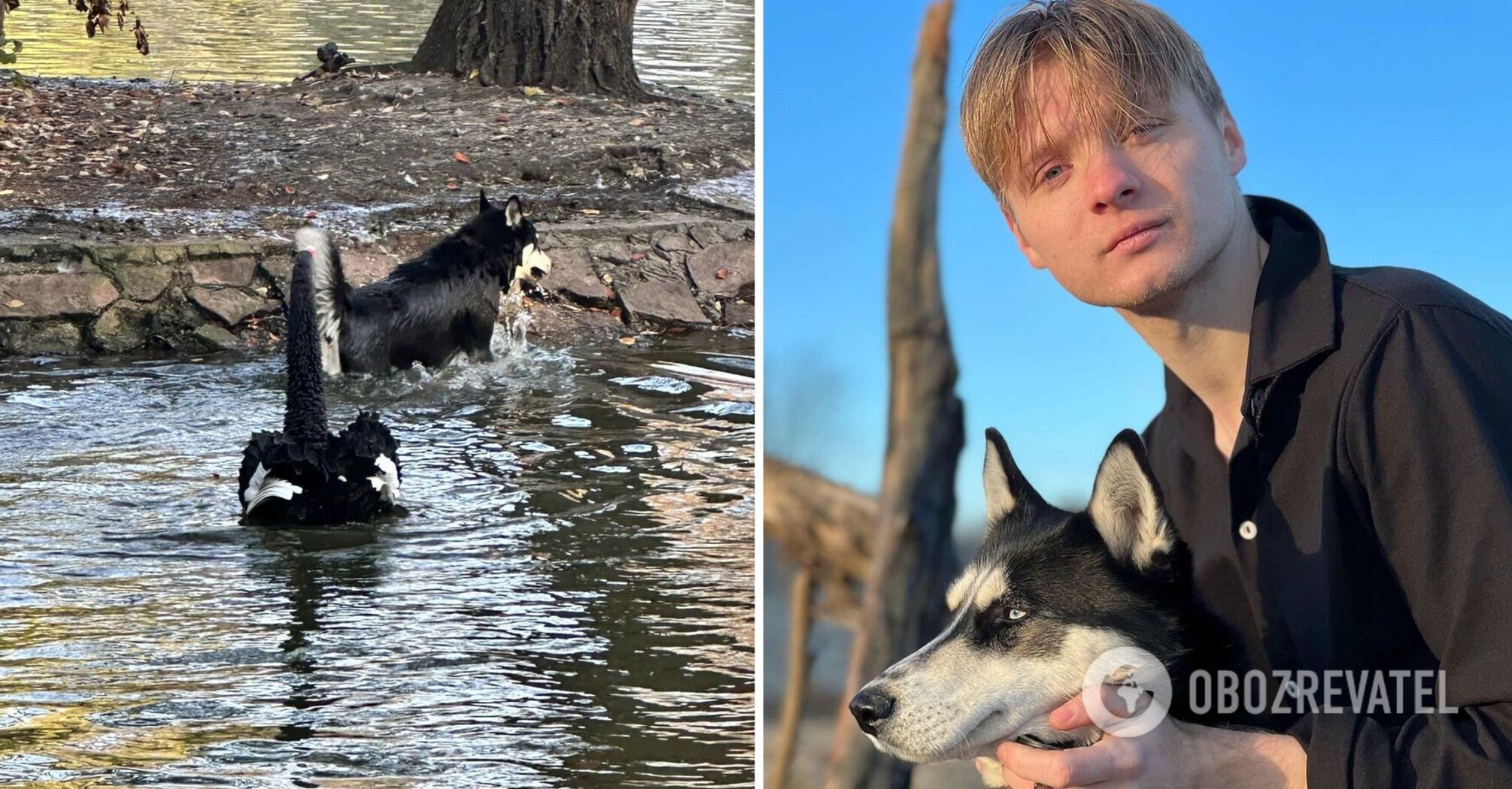 In 2022, he returned from abroad and asked to join the Armed Forces: the owner of the dog that killed a swan in Ivano-Frankivsk told his version of events