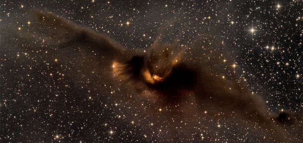 Mgławica nietoperza "lecąca w ponurą noc Halloween": astronomowie pokazują niesamowite zdjęcie z kosmosu