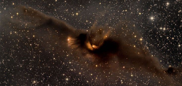 Mgławica nietoperza "lecąca w ponurą noc Halloween": astronomowie pokazują niesamowite zdjęcie z kosmosu