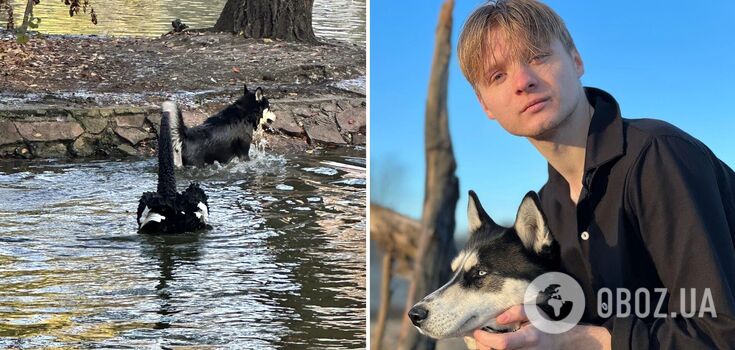 In 2022, he returned from abroad and asked to join the Armed Forces: the owner of the dog that killed a swan in Ivano-Frankivsk told his version of events