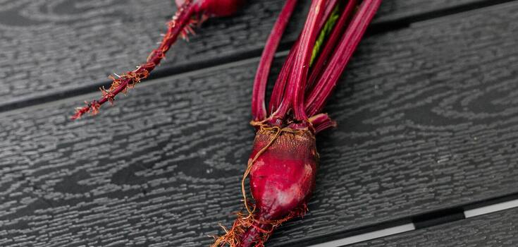Bake or boil: how to cook beets properly so that they do not become bitter and remain healthy