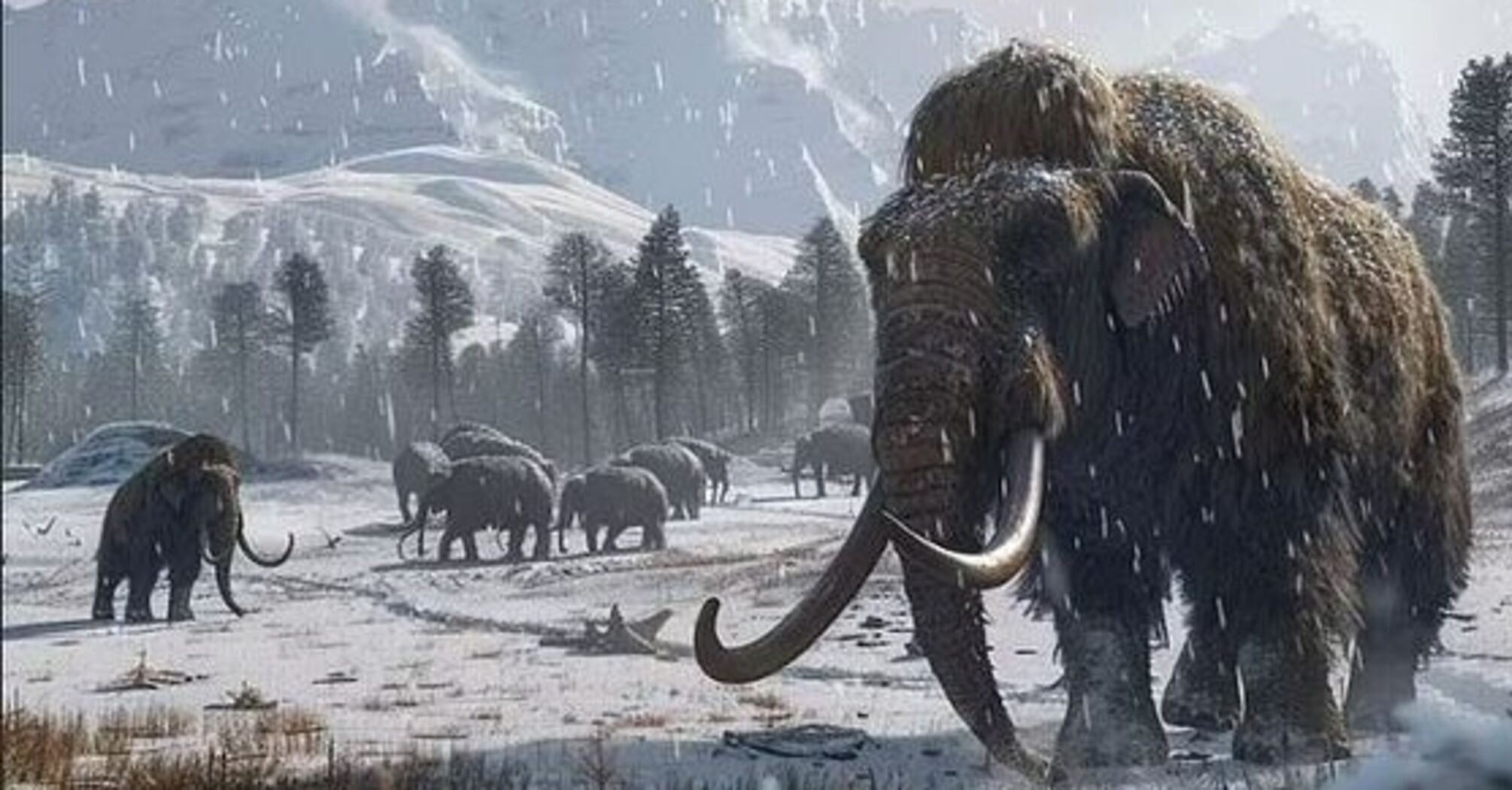 Mammoths from the Ice Age are to be "resurrected" by 2028: scientists plan to bring back the Dodo and Tasmanian tiger. What is known