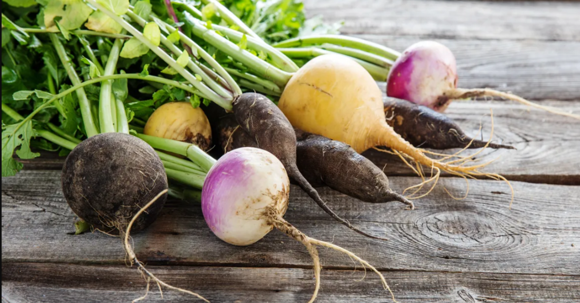 What is turnips and how to grow this unusual root vegetable at home