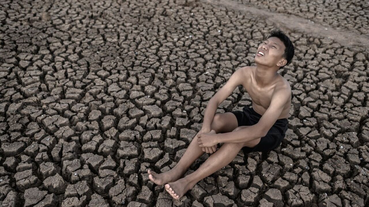 The climate has dealt a devastating blow to the planet: Earth is on the brink of disaster. Report for 2024