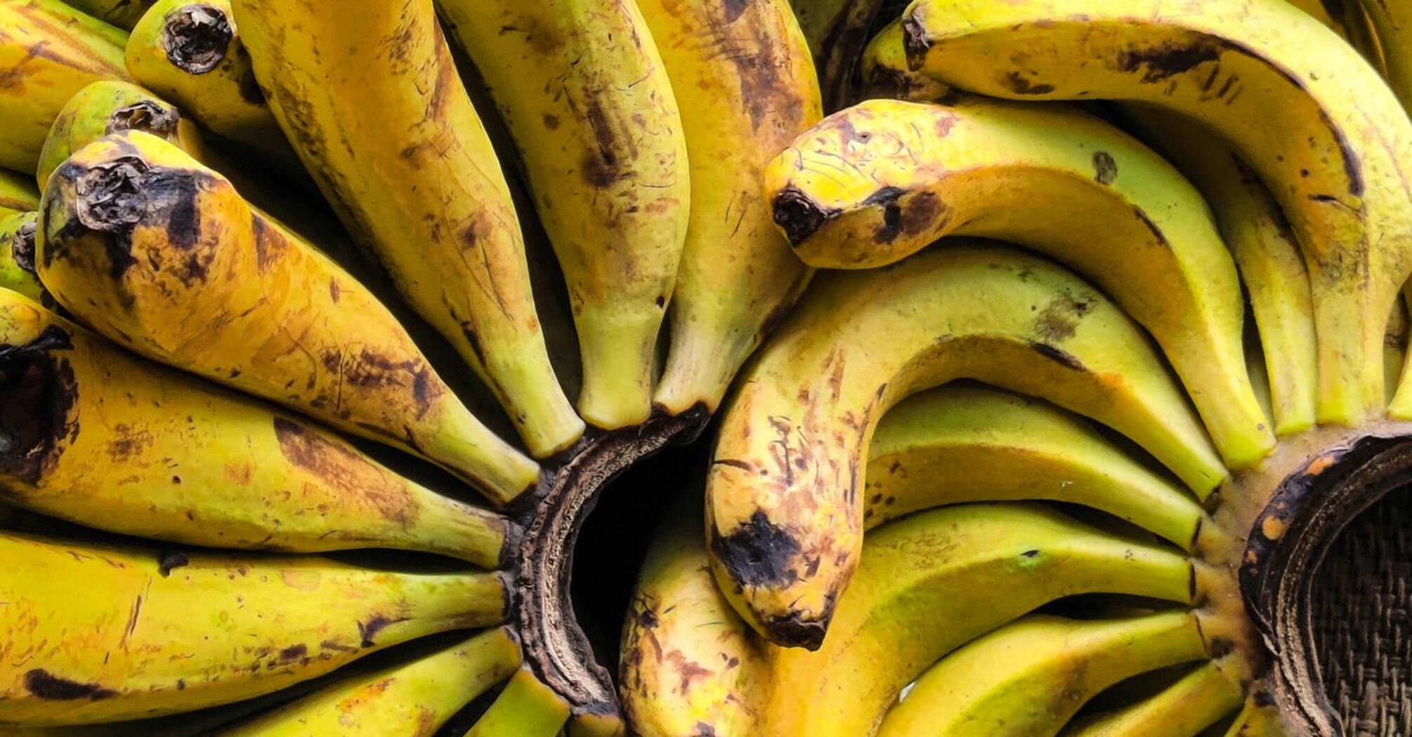 What you absolutely cannot store bananas and apples with: they will quickly deteriorate and turn black