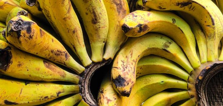 Czego absolutnie nie można przechowywać z bananami i jabłkami: szybko się zepsują i staną się czarne