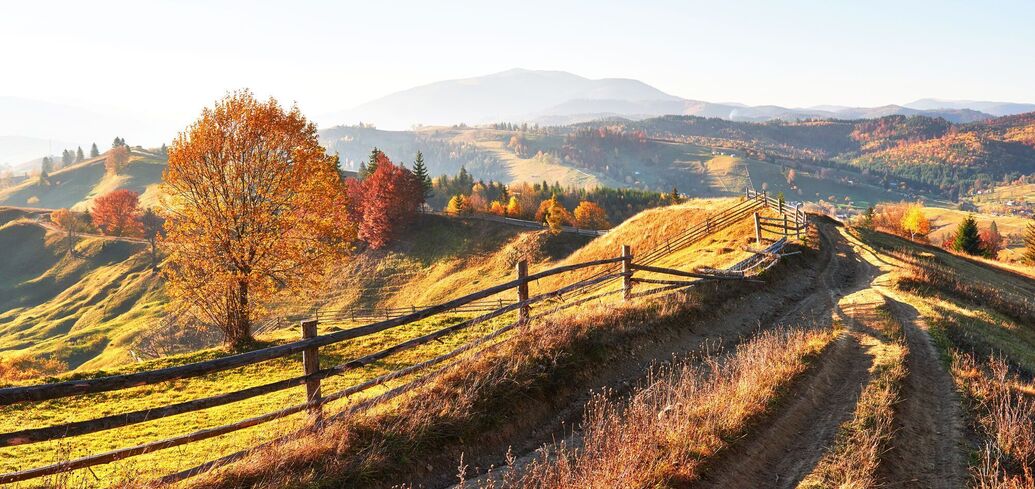 What holiday is November 11, 2024 calendar of events