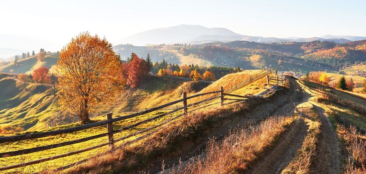 What holiday is celebrated on November 11: all about this day