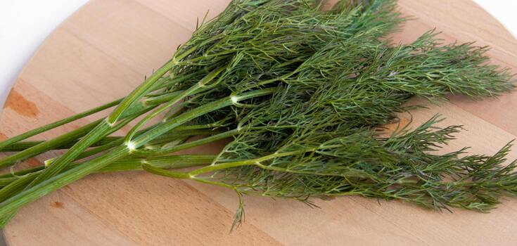 Fresh dill