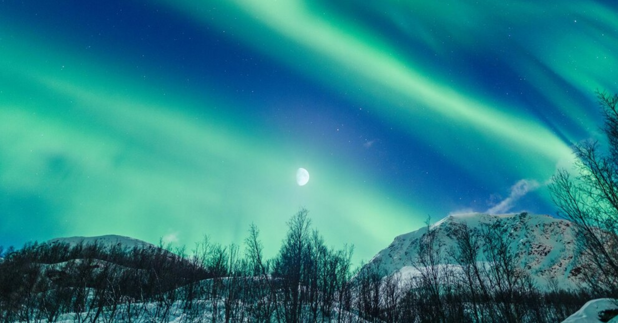 Where to go to admire the northern lights: the best locations in the world