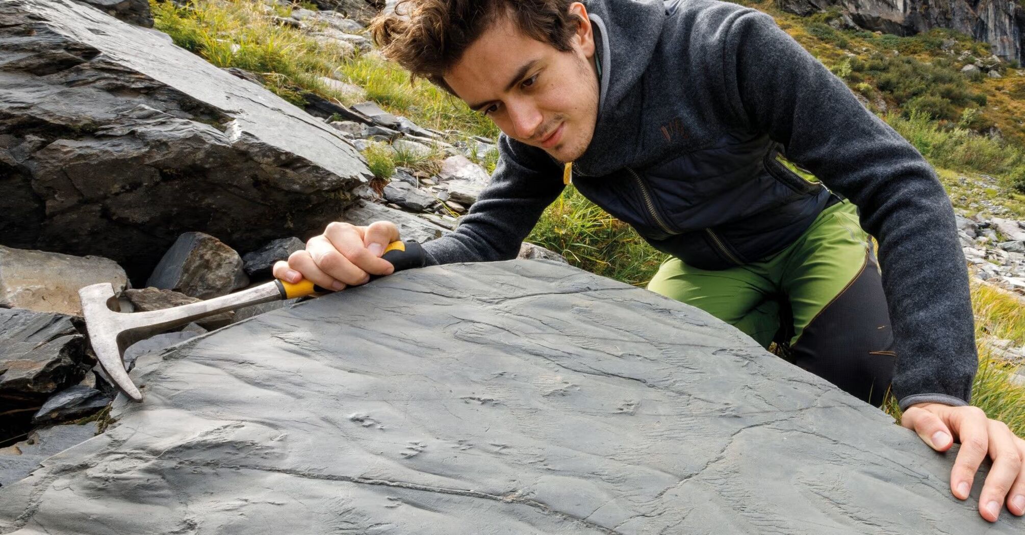 Travelers discovered a 280 million-year-old prehistoric ecosystem in the Alps. Photo