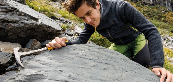 Travelers discovered a 280 million-year-old prehistoric ecosystem in the Alps. Photo
