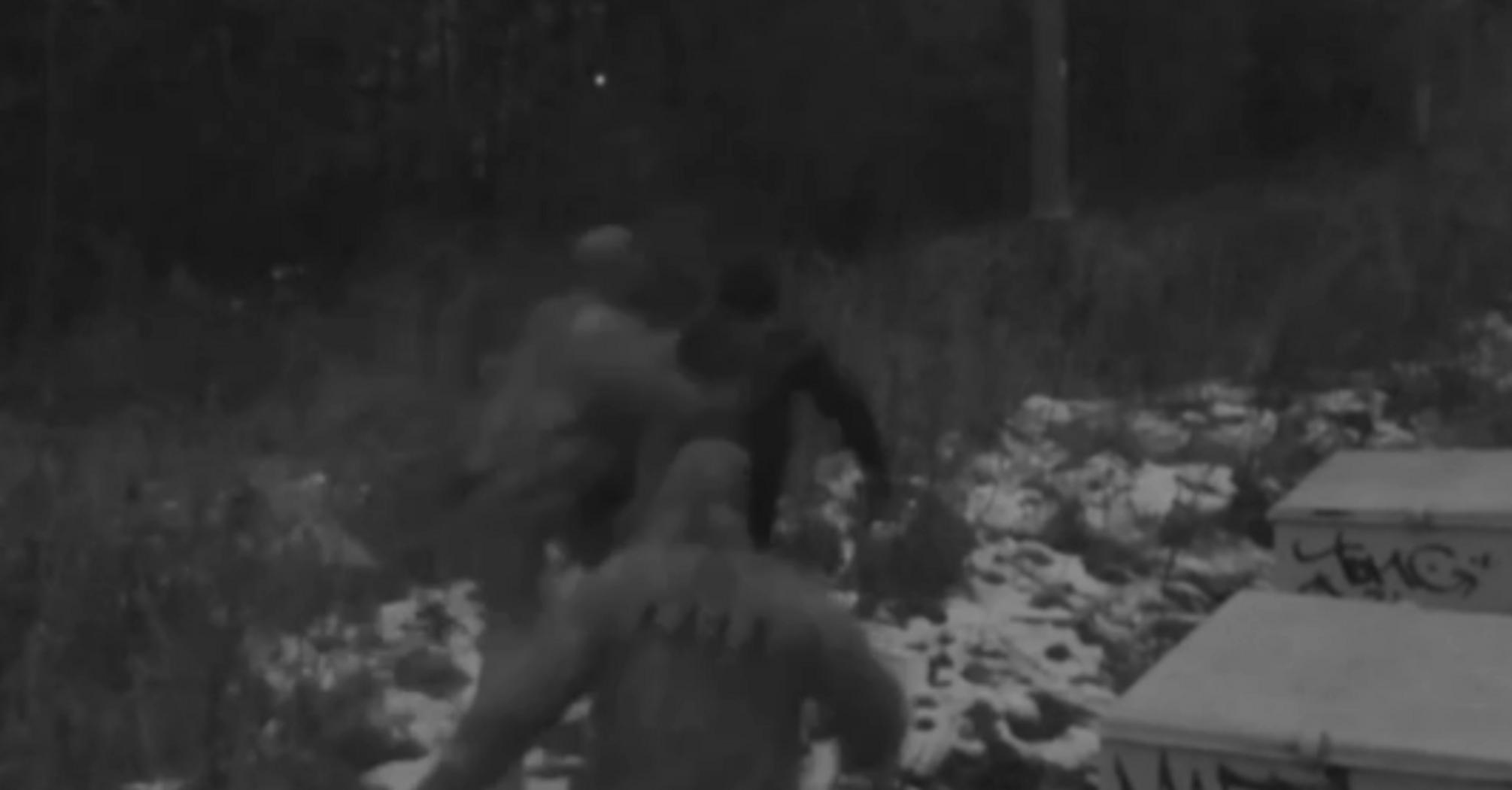 Putin's security forces showed how they caught a Ukrainian saboteur in the bushes: 'picture' spoiled by one detail. Video