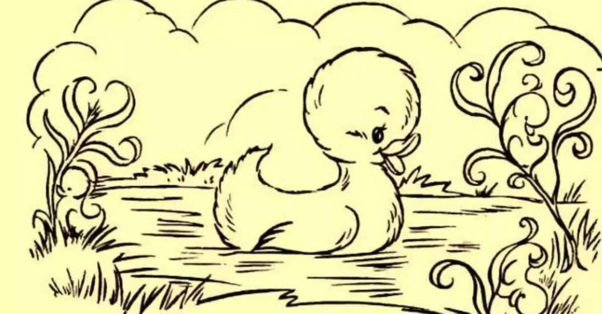 Znajdź wszystkie kaczuszki: szybka łamigłówka uważności