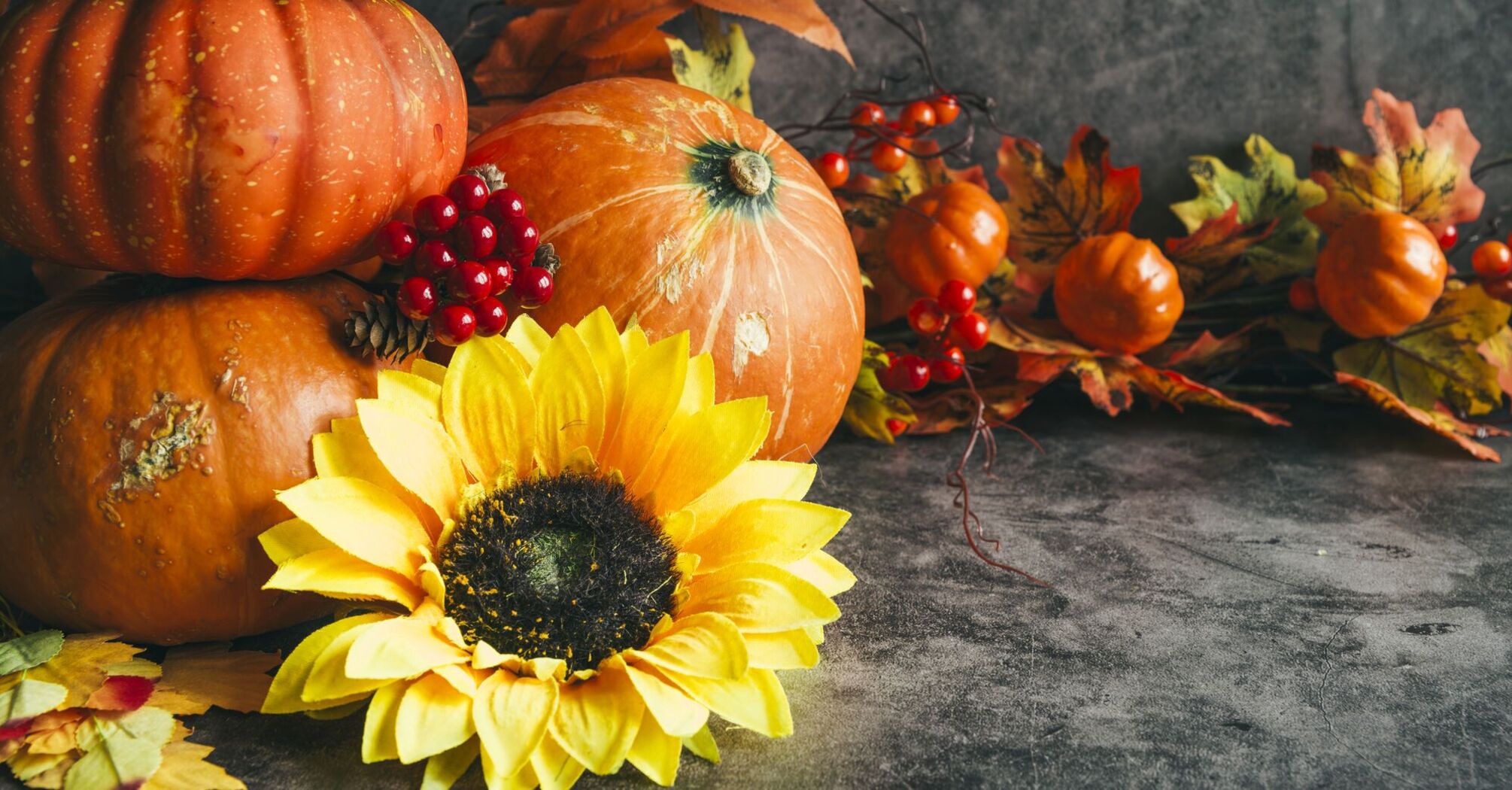 What holiday is celebrated on November 17: everything about this day