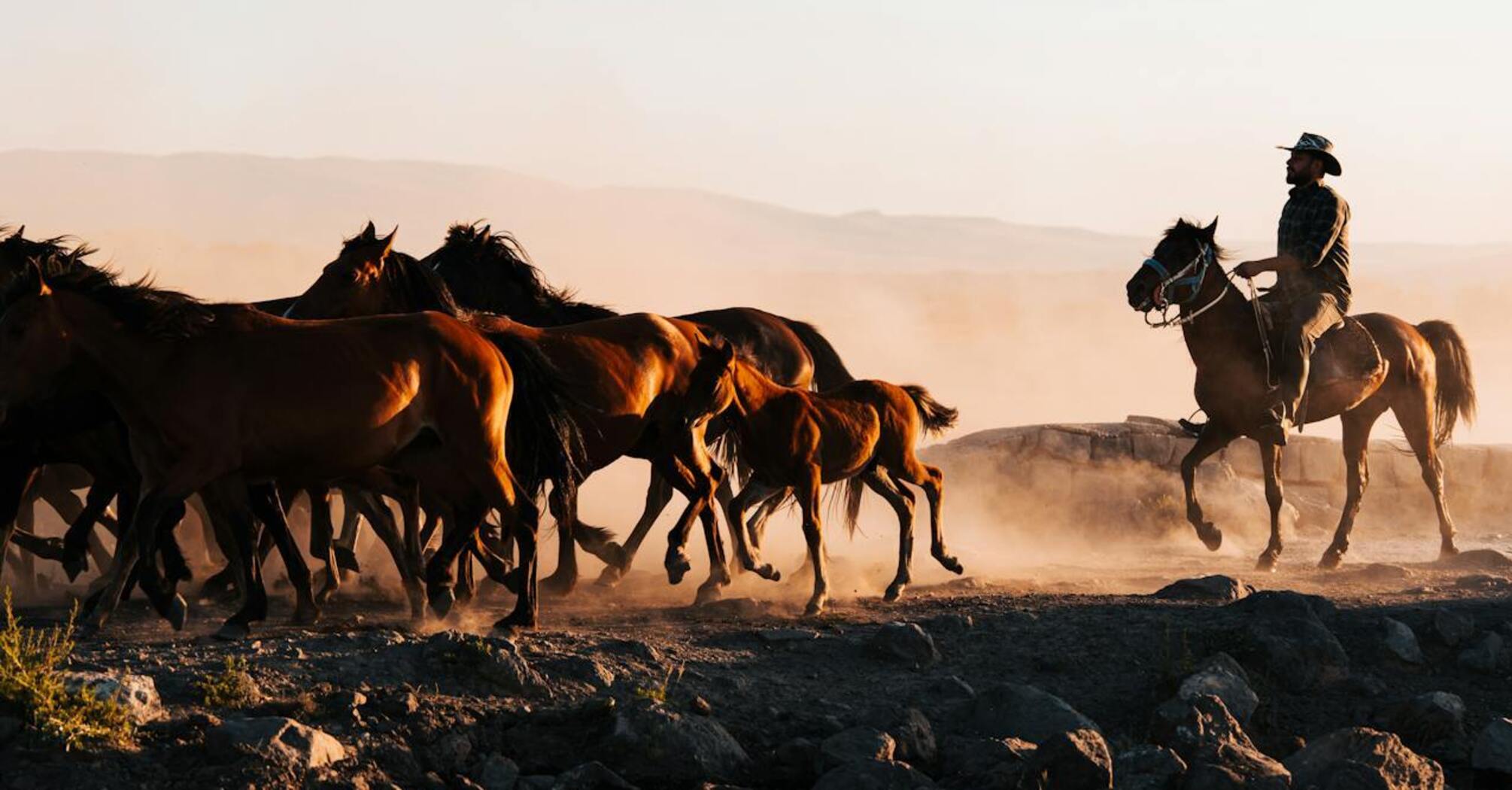 The best westerns of all time: a selection of adventure movies