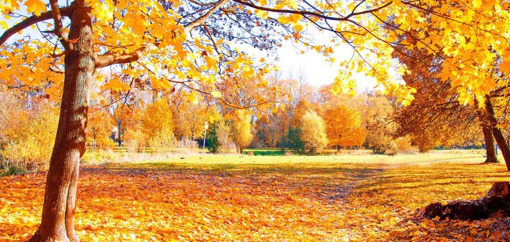 What holidays are celebrated on November 2: interesting facts about this day