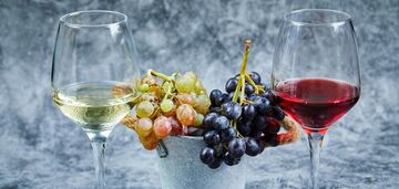 Ресвератрол: чем полезен для организма и в каких продуктах содержится