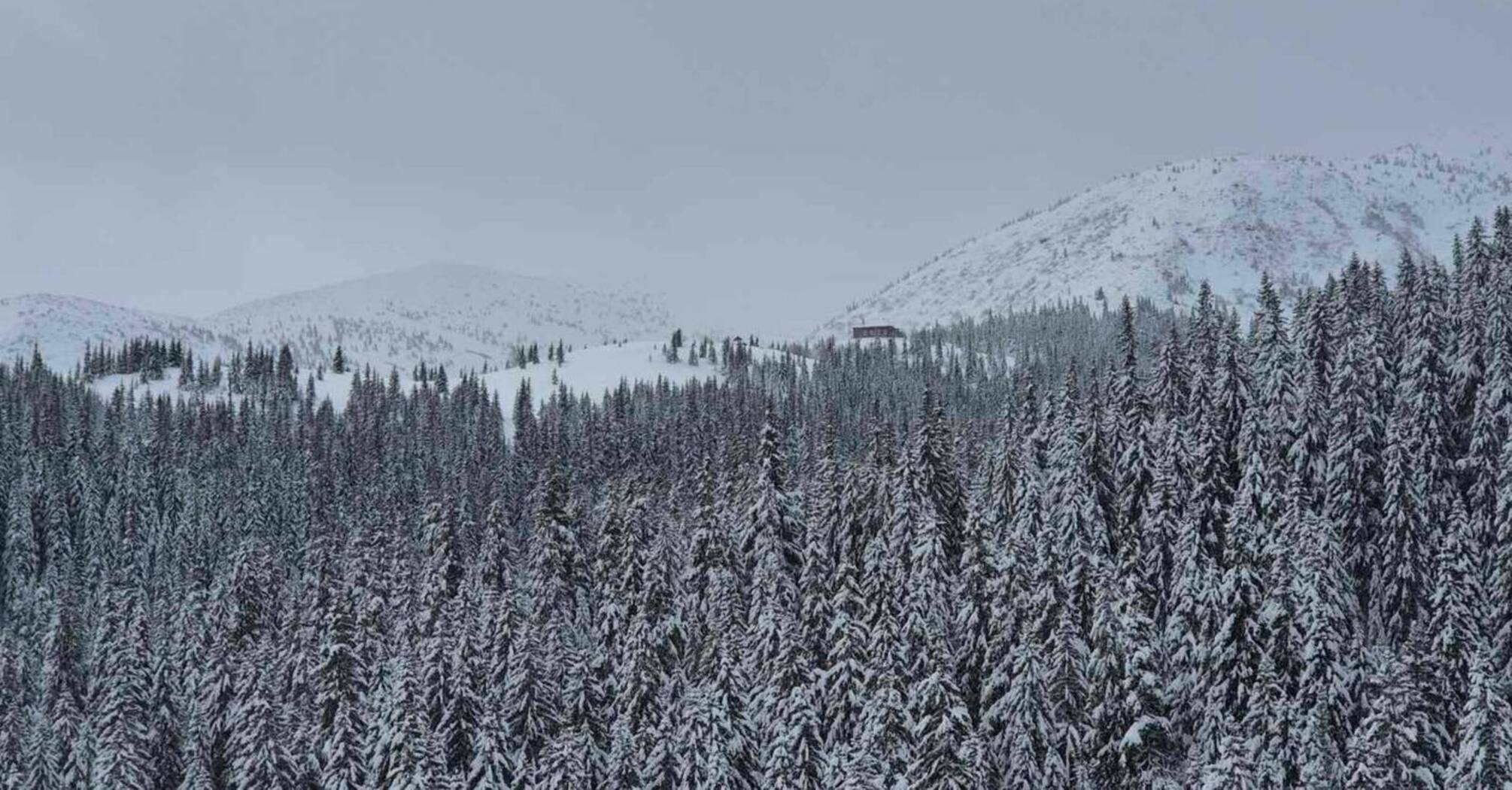 The weather is fierce: a rescuer showed winter in the highlands of the Carpathians. Video