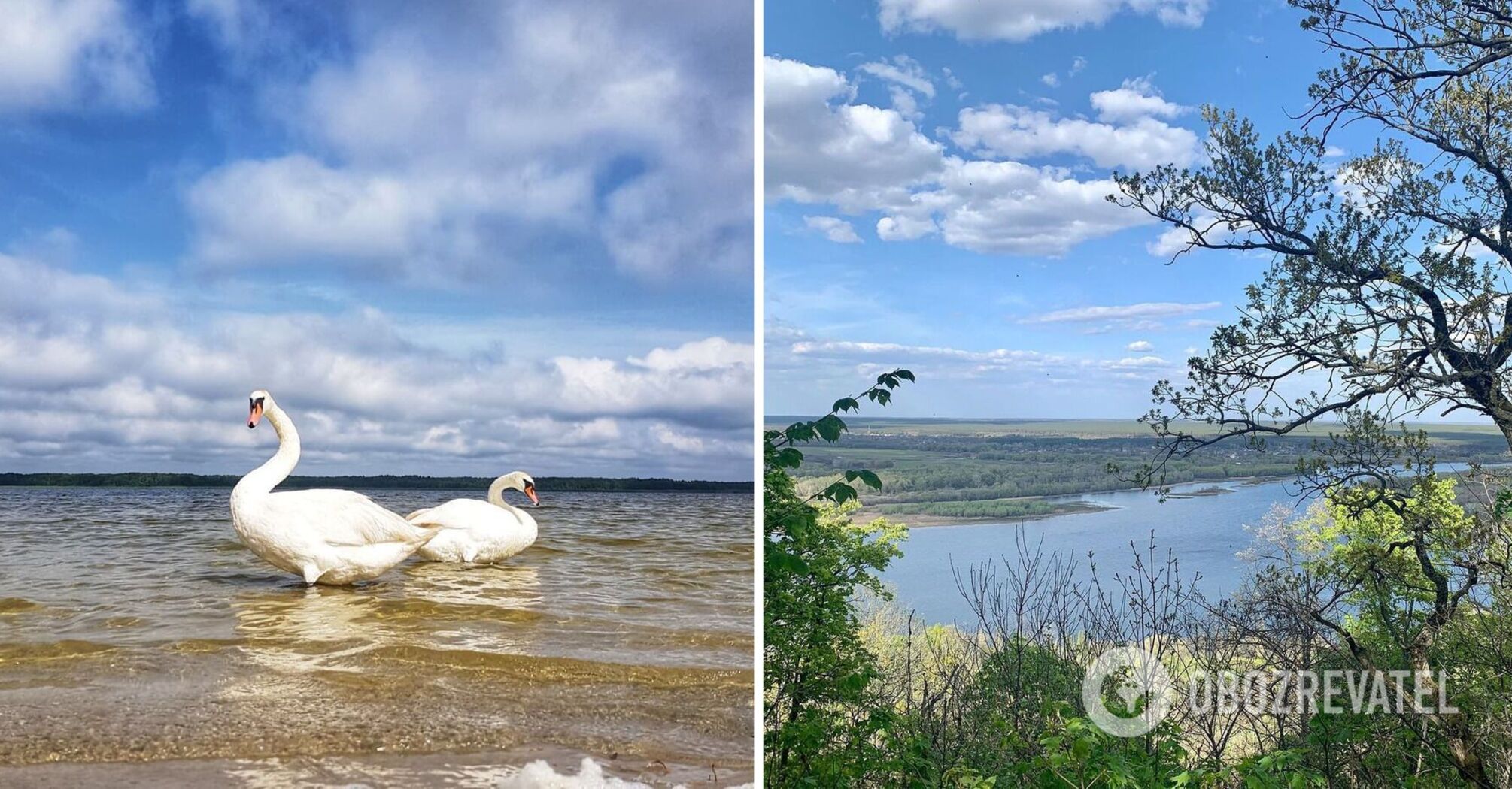 Unique wildlife sanctuaries and reserves of Ukraine: where to go in the off-season