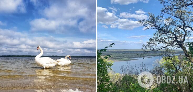 Unique wildlife sanctuaries and reserves of Ukraine: where to go in the off-season