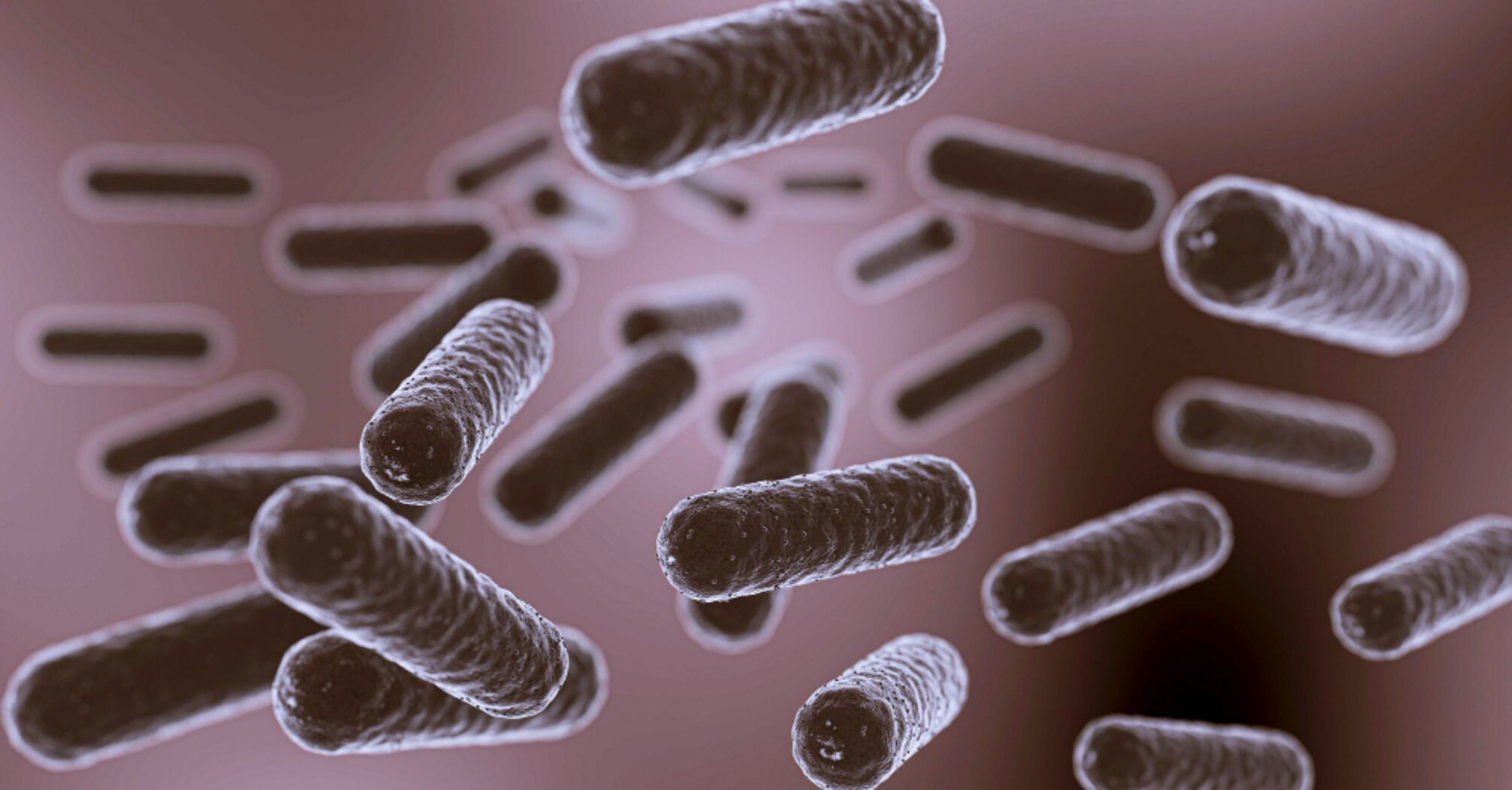 Користь біфідобактерій: в яких випадках допомагають і які дози корисні