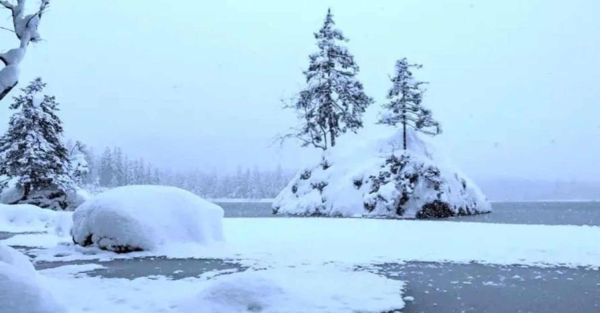 Find the polar bear: a puzzle for the most attentive