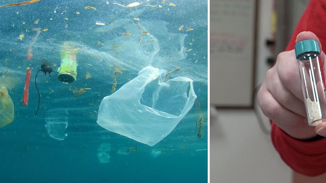 Can replace polypropylene: scientists have created a plastic that is completely biodegradable in seawater