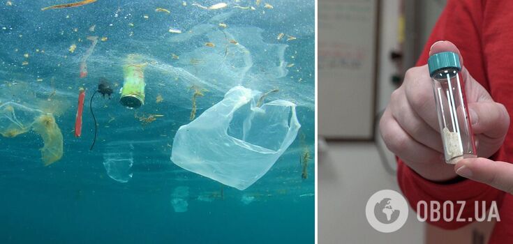 Can replace polypropylene: scientists have created a plastic that is completely biodegradable in seawater