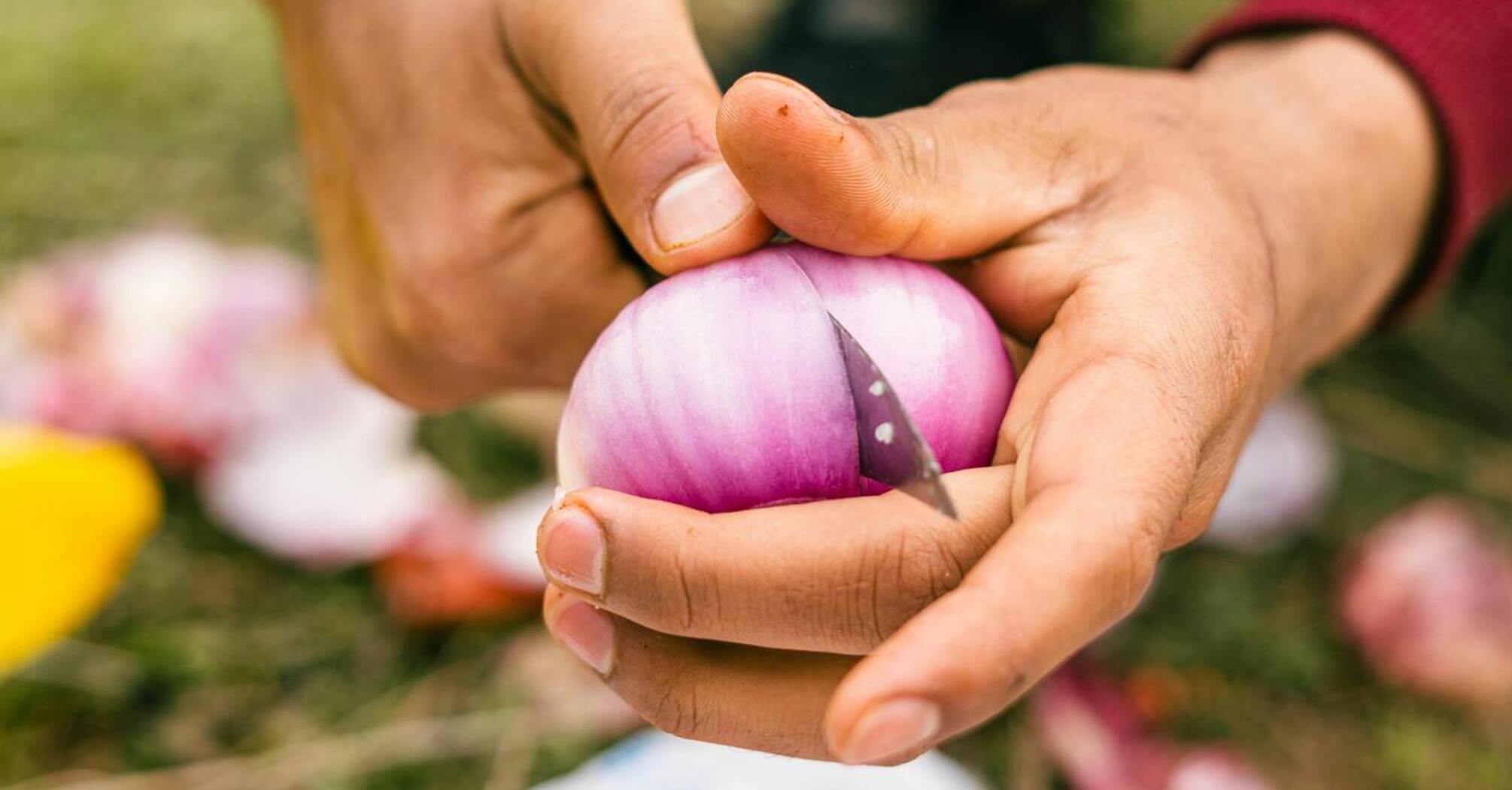 A simple onion slicing technique that will save you from tears: you will never cry