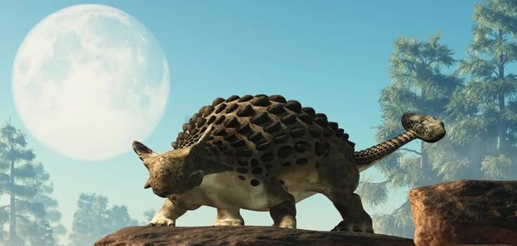 6 meters long and a killer tail: paleontologists discover a new species of giant armored dinosaurs