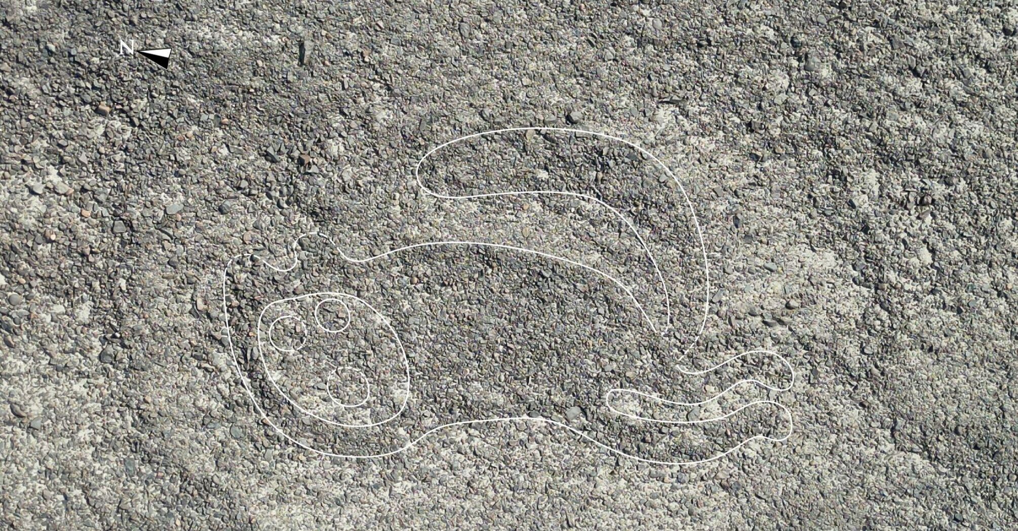 В пустыне Перу нашли еще сотни линий Наска: эта загадка манит археологов во всем мире