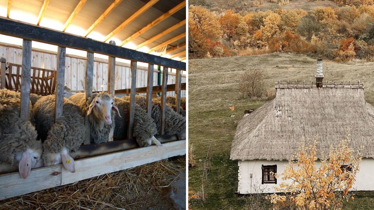 Former farming villages of Ukraine: authentic historical places to visit next