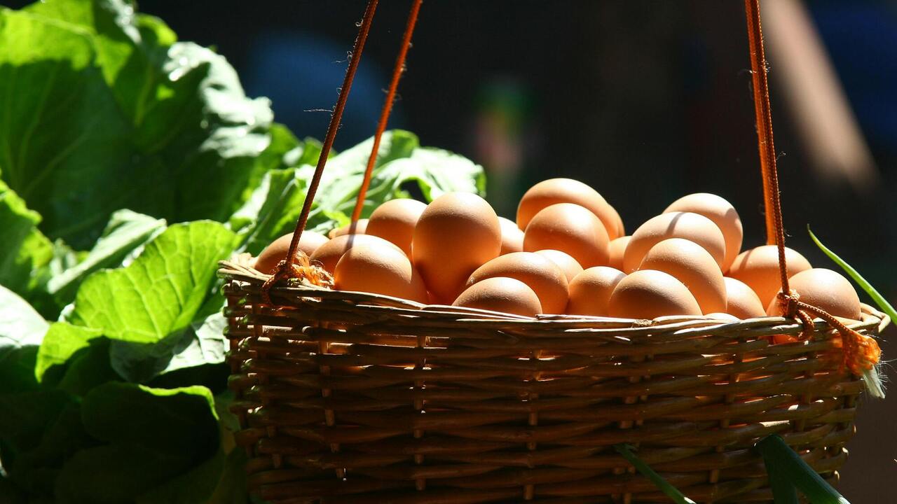 How to store eggs properly to get the perfect dish: tips from Jamie Oliver