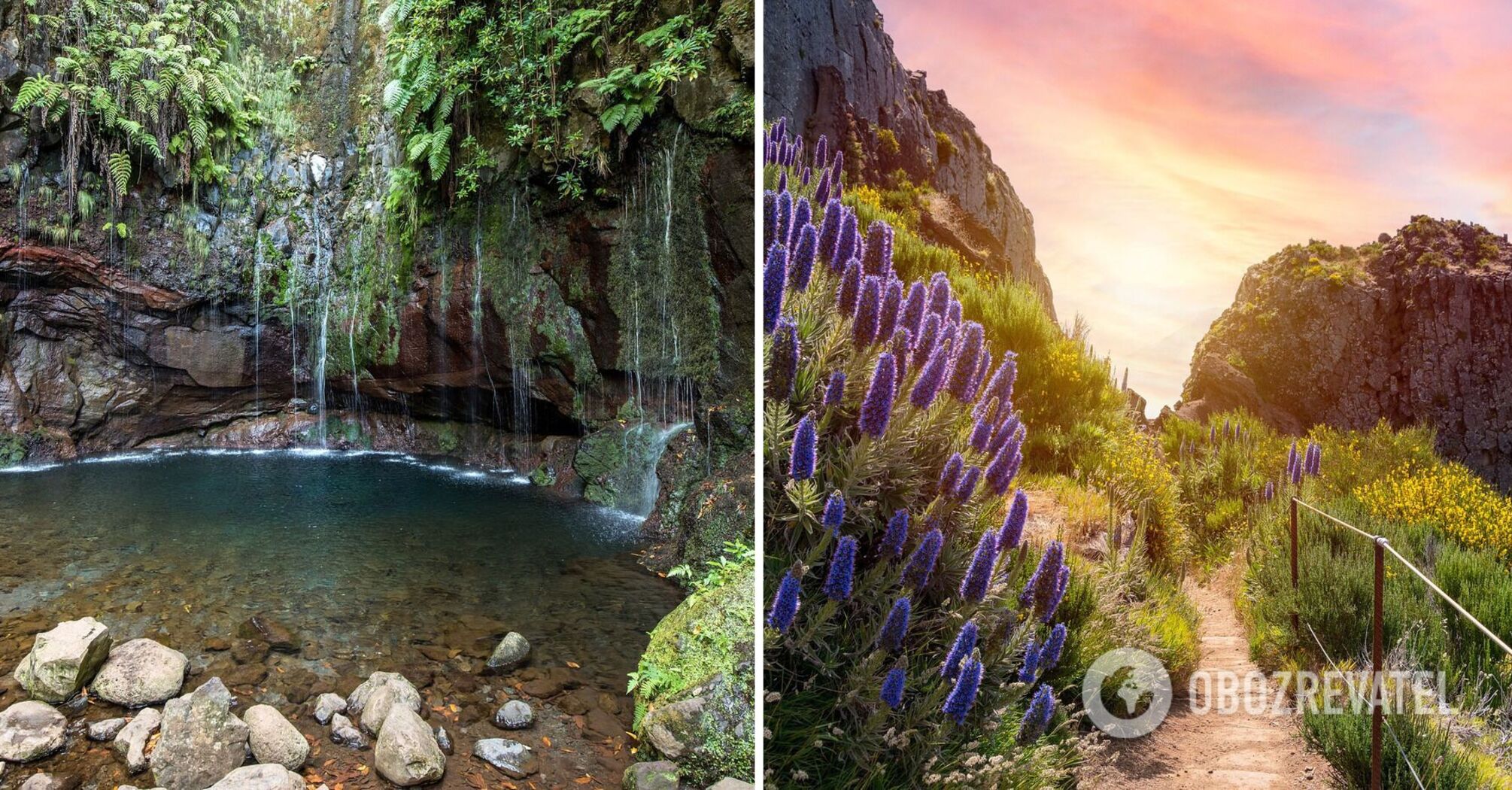 Winter Madeira: what not to miss on the paradise island